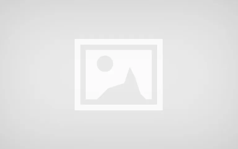 Article test